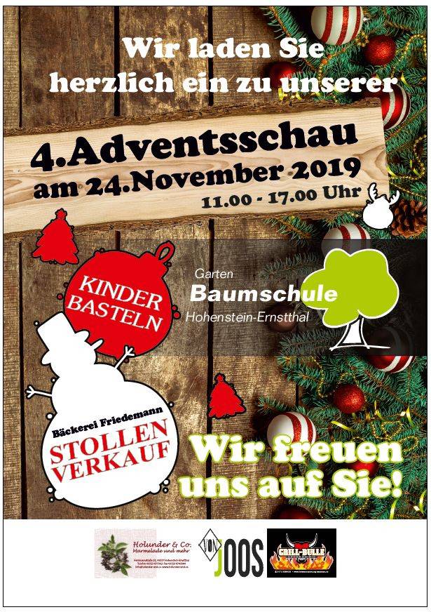 Adventsschau.jpg