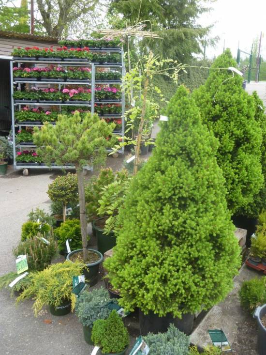 Aktuelle Informationen